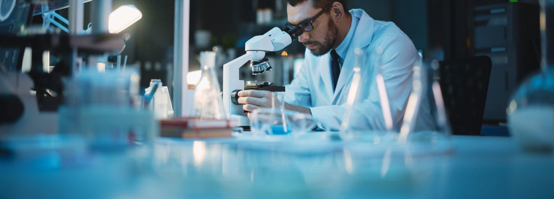 Top Ingredients in Hangover Supplements: NAC, Milk Thistle, B-Vitamins & More