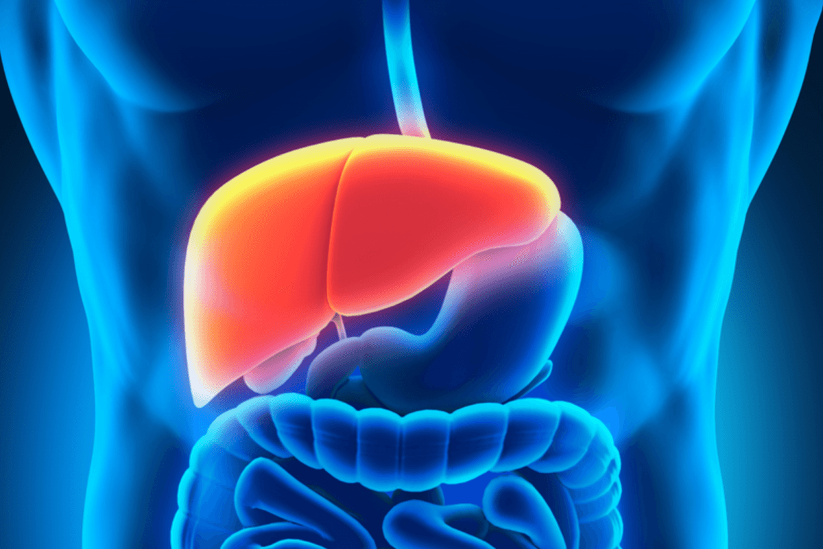 Illustration showing the liver’s role in alcohol metabolism and detoxification pathways